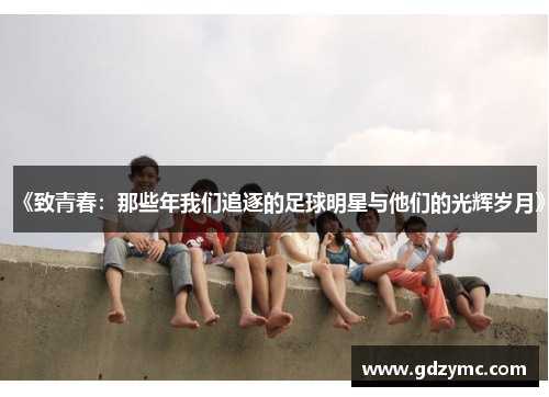《致青春：那些年我们追逐的足球明星与他们的光辉岁月》