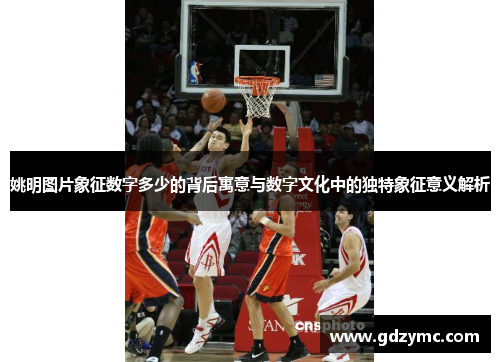 姚明图片象征数字多少的背后寓意与数字文化中的独特象征意义解析