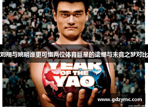 刘翔与姚明谁更可惜两位体育巨星的遗憾与未竟之梦对比