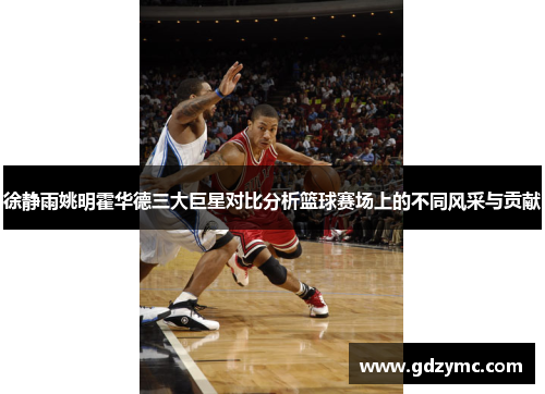 徐静雨姚明霍华德三大巨星对比分析篮球赛场上的不同风采与贡献