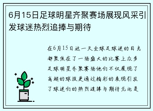 6月15日足球明星齐聚赛场展现风采引发球迷热烈追捧与期待